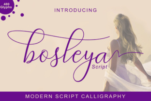 Bosleya: A Premium Script Handwritten Font for Branding