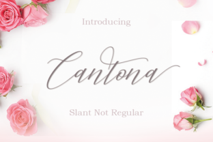 Cantona Font: The Script Handwritten Choice for Elegant Campaigns