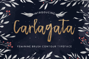 Carlagata: The Perfect Script Handwritten Font for Crafters