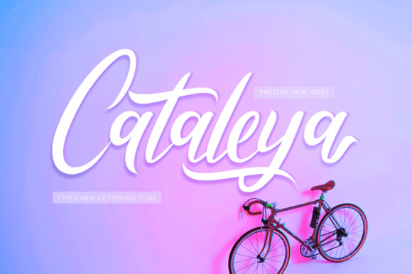 Cataleya: A Modern Script Font for Makers