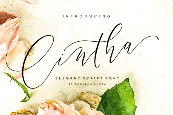 Cintha: A Modern Script Font for Elegant Web Design