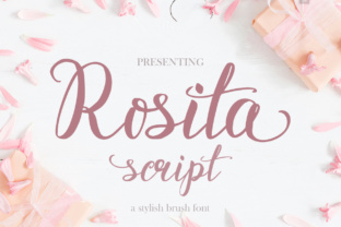 Elevate Campaign Visuals with Rosita Script Typeface