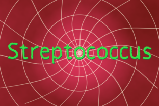Streptococcus Font: A Playful Sans Serif for Modern Design